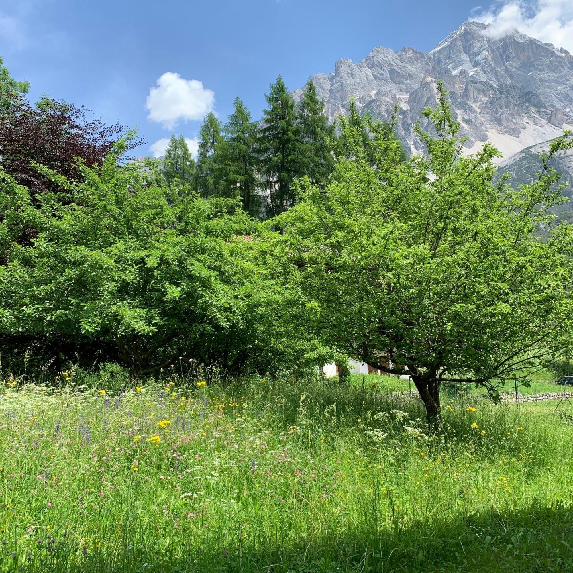 Piccolo Gioiello Di Montagna Lejlighed Villanova  Eksteriør billede